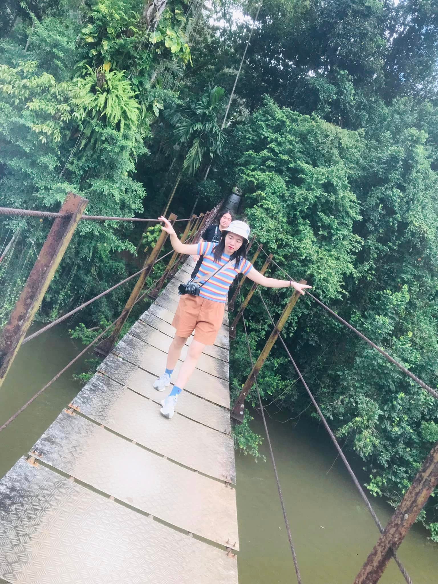 Rainforest Hike photo 2
